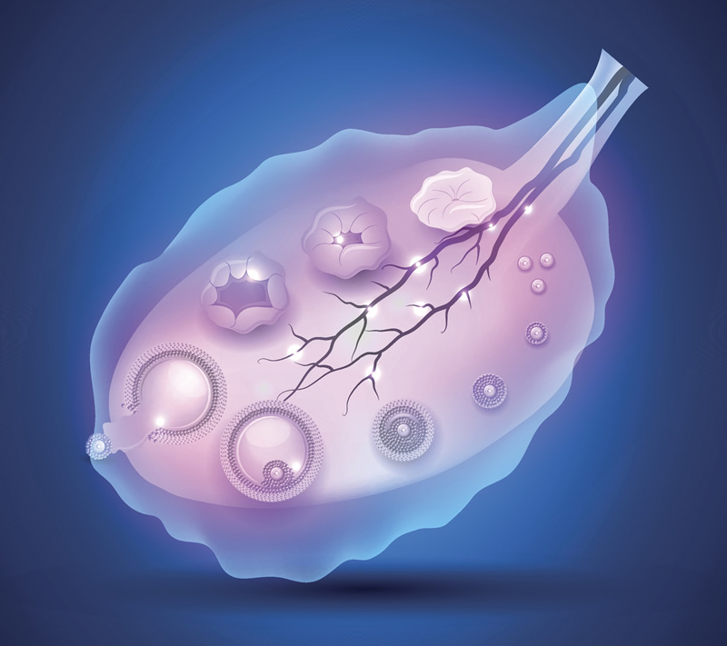 2026年西宁试管婴儿医院排名前三强公布：青海红十字、青海人民医院等三甲医院领衔，附输卵管堵塞治疗与费用指南